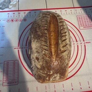 Dehydrated Sourdough Starter from original starter pictured